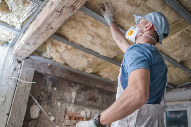 Professional Insulation Contractor in Santa Barbara, CA
