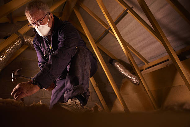 Best Residential Insulation in Santa Barbara, CA